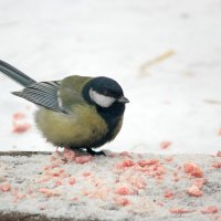 Ещё одна... :: Андрей Катков
