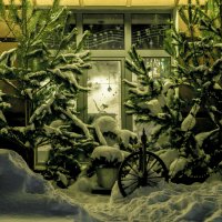 Зима, Январь :: Владимир Максимов