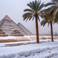 Снег в Каире :: Ольга 