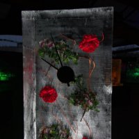 В ледяном плену. :: Геннадий Порохов