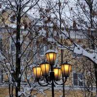 Жёлтые глаза фонарей. :: Люба 