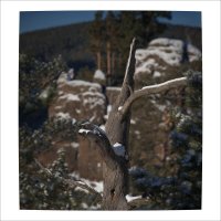 * :: Александр Иванов