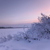 Морозные закаты Пинежья :: Ольга Чистякова