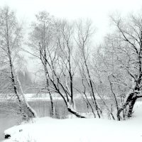 Зимний пейзаж :: жанна нечаева