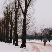 АЛЛЕЯ :: Виктор Никитенко