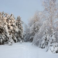 В снежном царстве. :: Андрей Дурапов