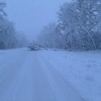 Адыгея. Никогда не было, и вот опять! :: Сергей Запорожцев