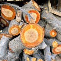 Дровишки :: Георгиевич 