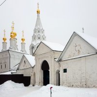 У древних стен Спасского мужского монастыря :: Galina Solovova