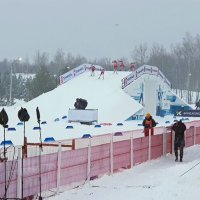 Отважная пятёрка мчится к победе :: Galina Solovova