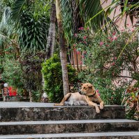 Жарко :: Dmitry i Mary S