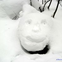 Из жизни снежариков...:-) :: Андрей Заломленков