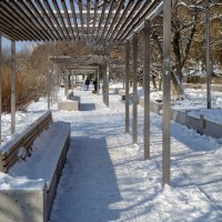 *** :: Игорь Протасов