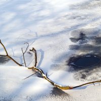 *** :: Игорь Протасов