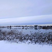 Зима :: Рита Симонова