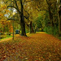 Один день осени :: Юрий. Шмаков