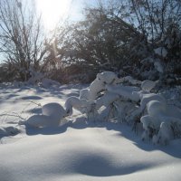 Солнечный день :: Anna Ivanova