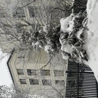 На пьедестале! :: Любовь 