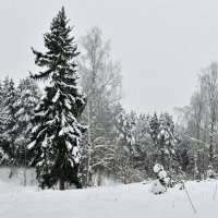 Подмосковье сегодня :: Вадим Подмосковье сегодня :: Вадим