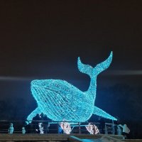 В Караганды :: Динара Каймиденова