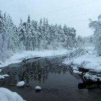 Река в зимнем лесу. :: Галина Полина
