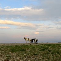 На горизонте... :: Надежда Чернецкая