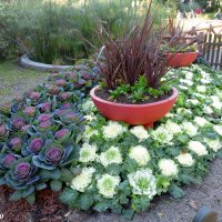 Адлер. Сочи Парк... :: Нина Бутко