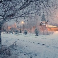 Просто наступила зима... :: Ирина Баскакова