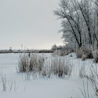 Январь. :: Владимир 