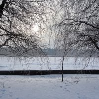 *** :: Геннадий Порохов