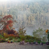 Осенний пейзаж с туманом :: Valziwa 