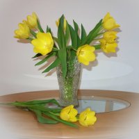 Ах, эти первые тюльпаны!.. :: Галина Ах, эти первые тюльпаны!.. :: Галина