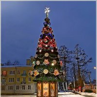 Прощай ёлка ! :: Лия ☼ Прощай ёлка ! :: Лия ☼