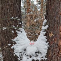 Снежный филин :: nika555nika Ирина