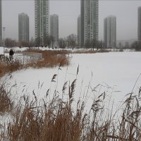 Парк Героев-пожарных :: Наталья Герасимова