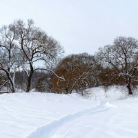 Картинка зимы. :: Милешкин Владимир Алексеевич Картинка зимы. :: Милешкин Владимир Алексеевич