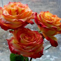 А за окном-зима. :: nadyasilyuk Вознюк