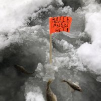 Здесь рыбы нет! :: Марина Леонидовна