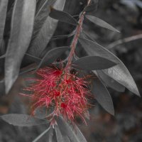 Без названия :: Андрей C