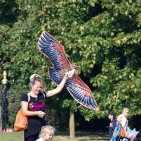 На старт... :: Валерий Пославский