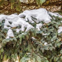 Зимнее настроение  ... :: Ravile 