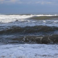 Балтийское море :: Рита Симонова Балтийское море :: Рита Симонова