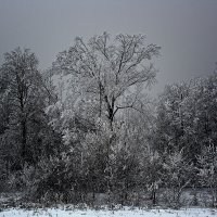 Зимний вечер :: MILAV V