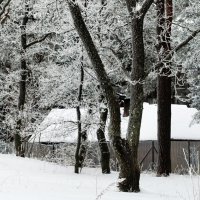 Заснеженность в парке :: Aida10 Заснеженность в парке :: Aida10