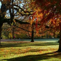 Осенний день в парке :: Юрий. Шмаков