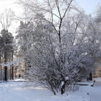 Вот и новый год ... :: Галина Минчук Вот и новый год ... :: Галина Минчук