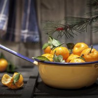 Мандарины январские еще в силе... ) :: Bosanat Мандарины январские еще в силе... ) :: Bosanat