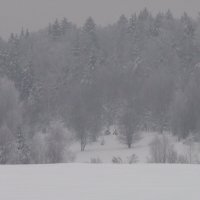 Заснеженный лес :: fogmeadowww m