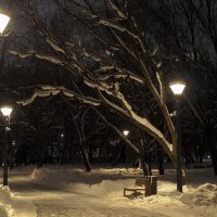 Зимний Вечер :: юрий поляков