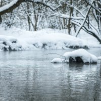 Зарисовки у реки :: Michel 